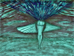 come fly with me