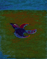 come fly with me