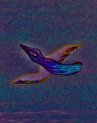 come fly with me
