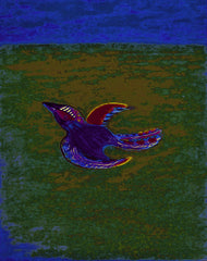 come fly with me