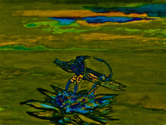 war with covid -19