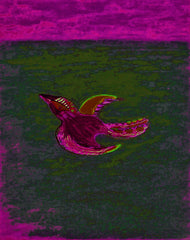 come fly with me