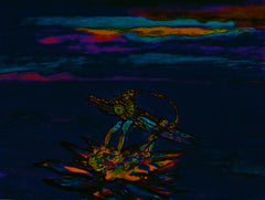 war with covid -19
