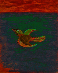 come fly with me