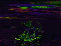 war with covid -19