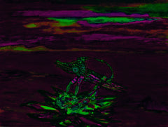 war with covid -19