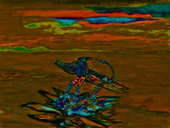 war with covid -19
