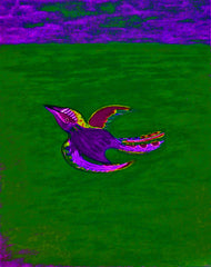 come fly with me
