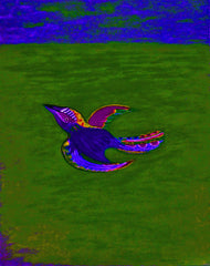 come fly with me