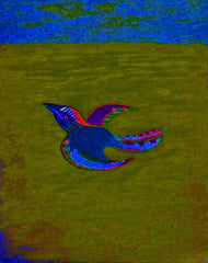 come fly with me