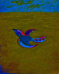 come fly with me