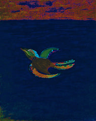 come fly with me