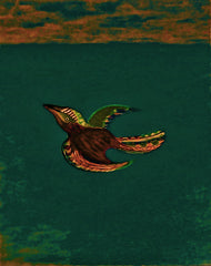 come fly with me