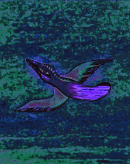 come fly with me