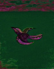 come fly with me