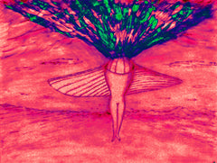 come fly with me