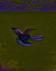 come fly with me