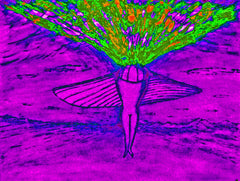 come fly with me