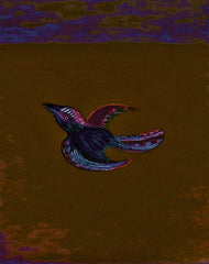come fly with me