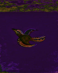 come fly with me