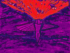 come fly with me