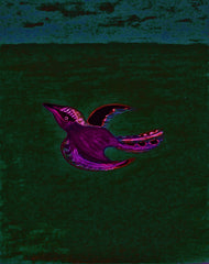 come fly with me