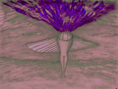 come fly with me