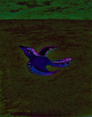 come fly with me