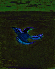 come fly with me
