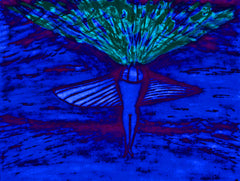 come fly with me