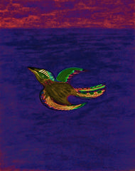 come fly with me