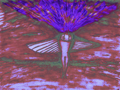 come fly with me