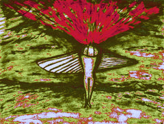 come fly with me