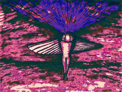 come fly with me