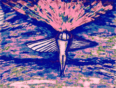 come fly with me