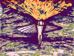 come fly with me