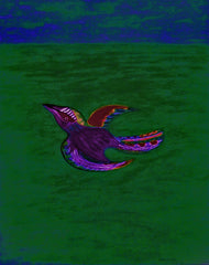 come fly with me