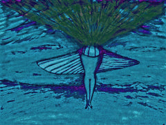 come fly with me