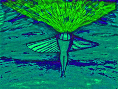 come fly with me