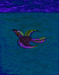 come fly with me