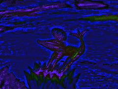 war with covid -19