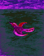 come fly with me