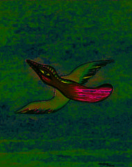 come fly with me