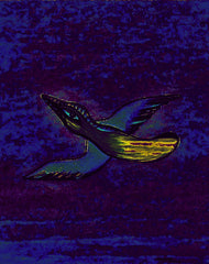come fly with me