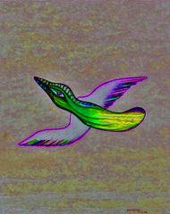 come fly with me