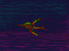 calling of the birds