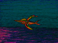 calling of the birds