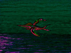 calling of the birds