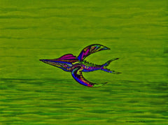 calling of the birds