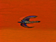 calling of the birds